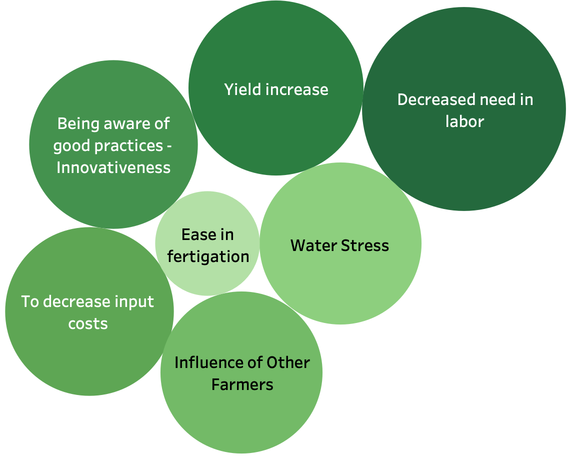 Adoption motivations bubble diagram
